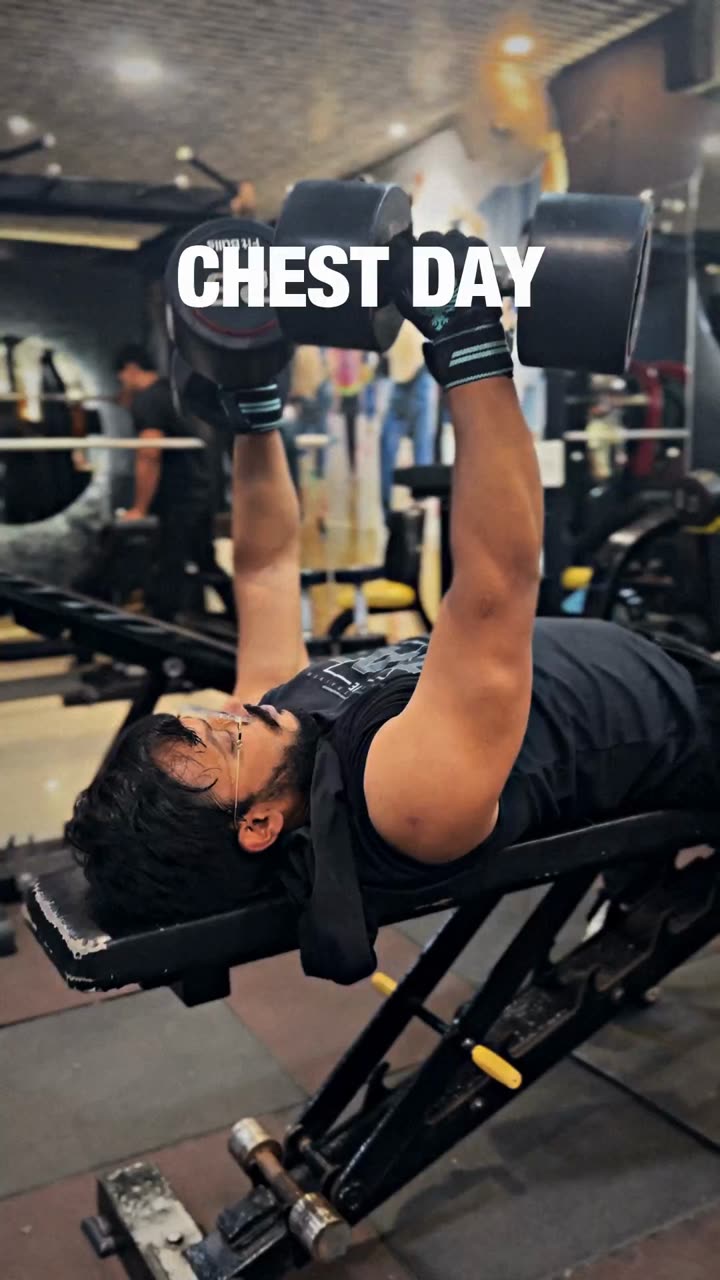 Chest Day VN code template preview